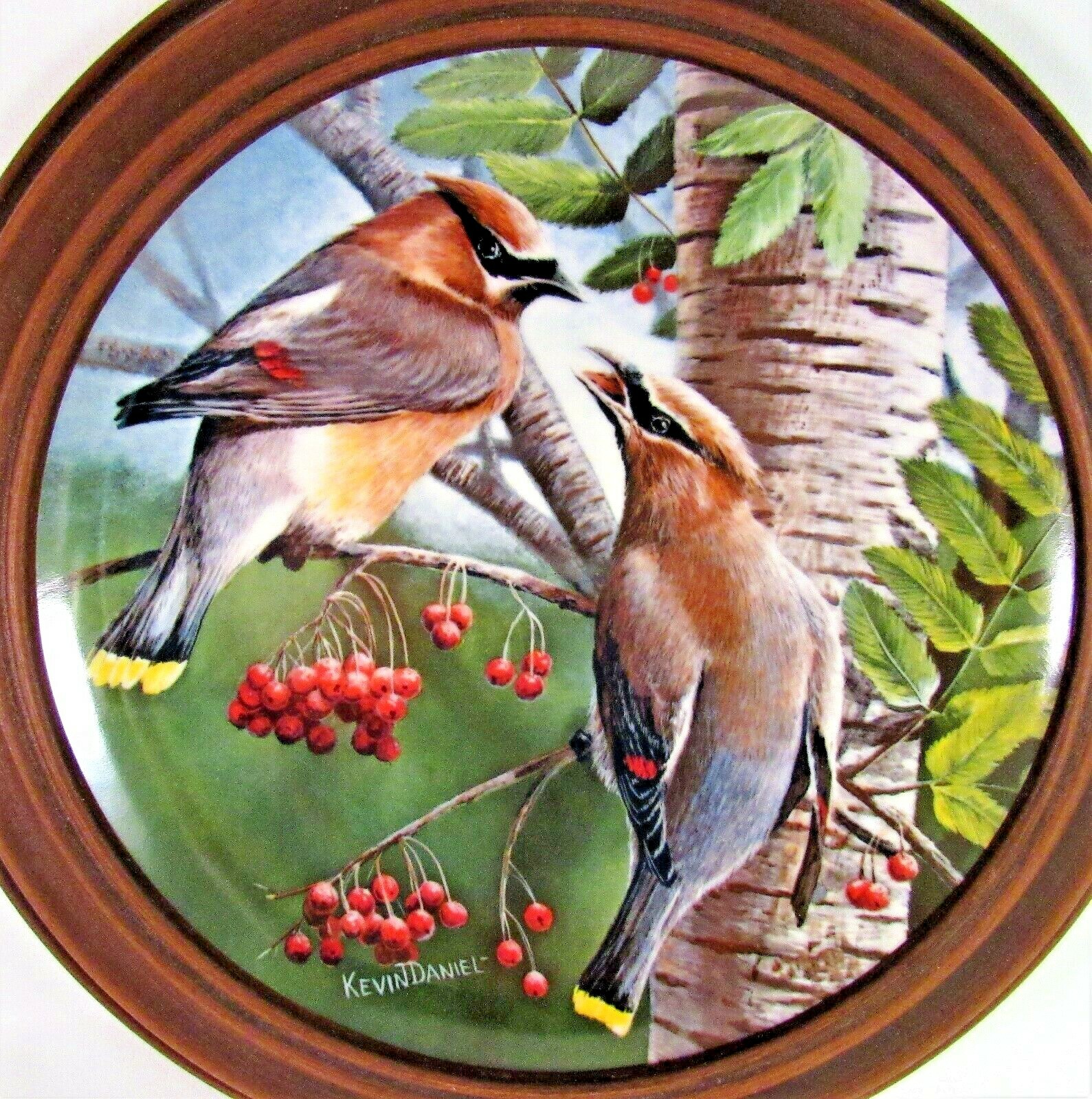 1987 The Cedar Waxwing Collector Plate Knowles by Kevin Daniel Framed #918F