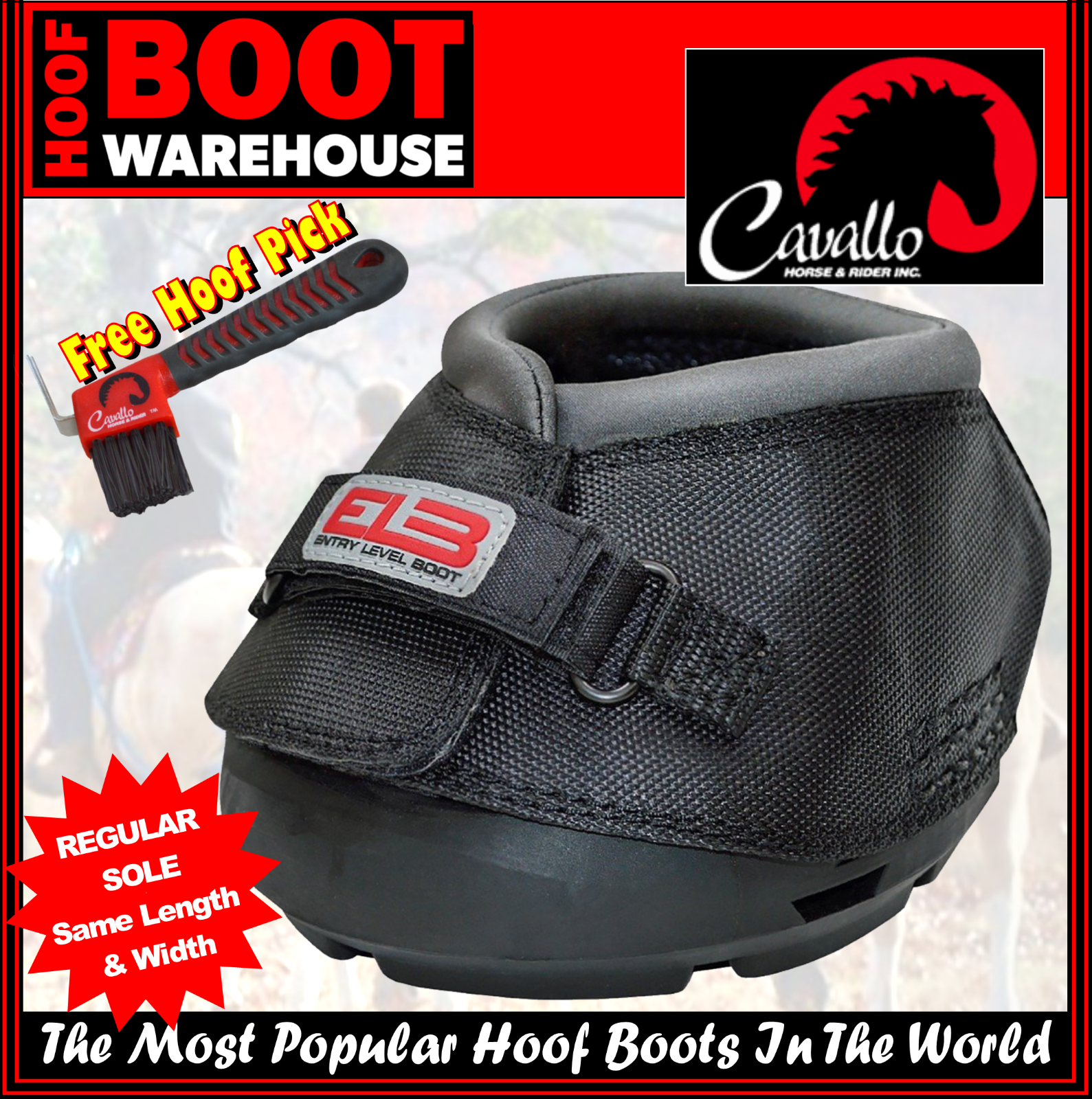 Cavallo Entry Level Boot Size Chart