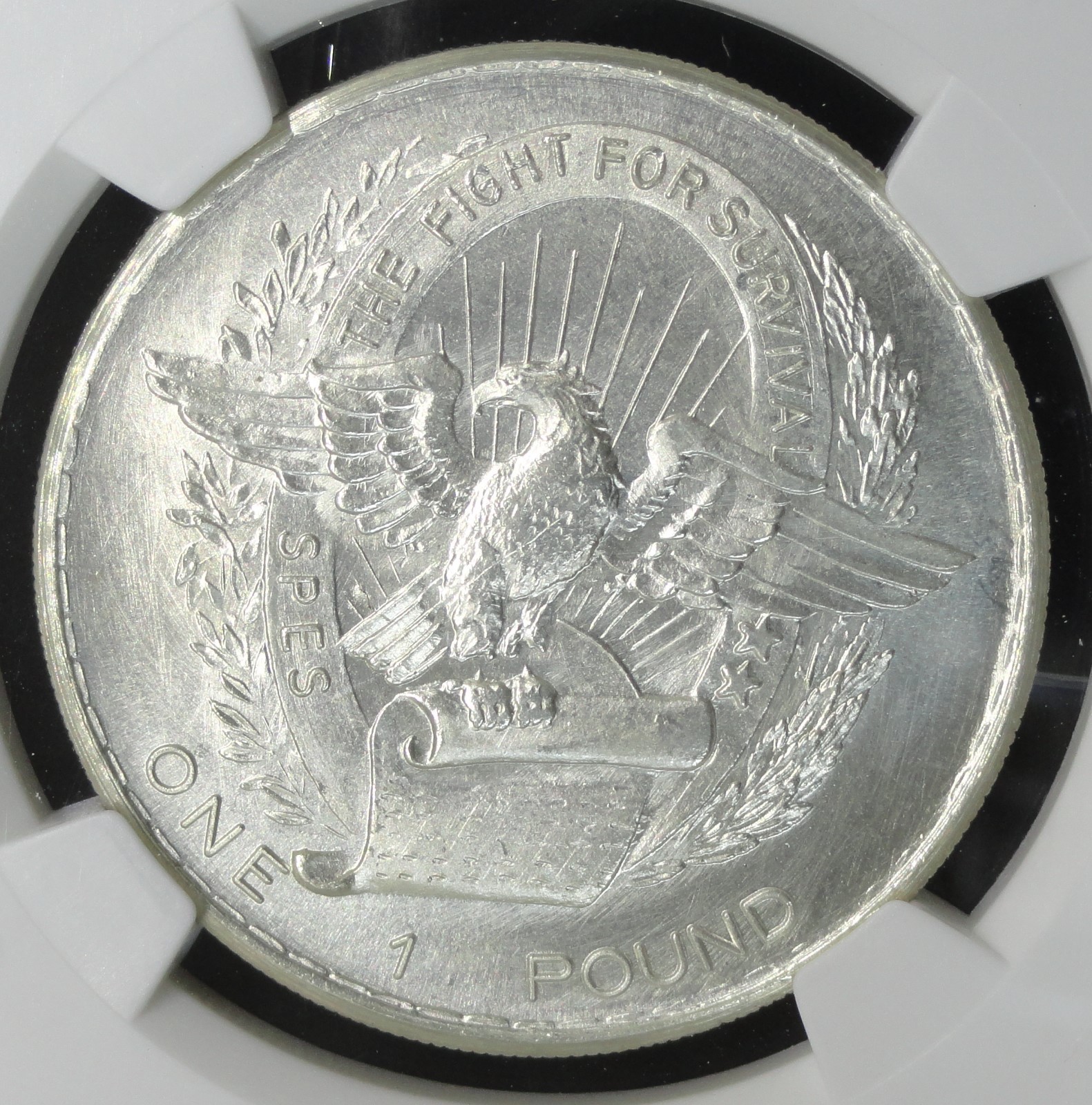 BIAFRA 1969  ONE POUND NGC MS 65