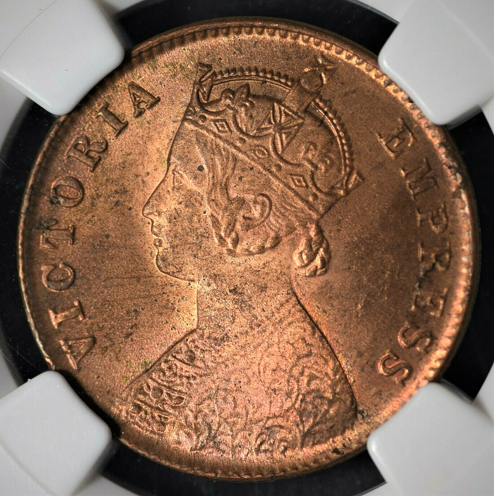 NGC-MS62RB　イギリス領　インド　 1/4Anna 　1901（C） NGC-MS62RB イギリス領 インド 1/4Anna 1901（C）