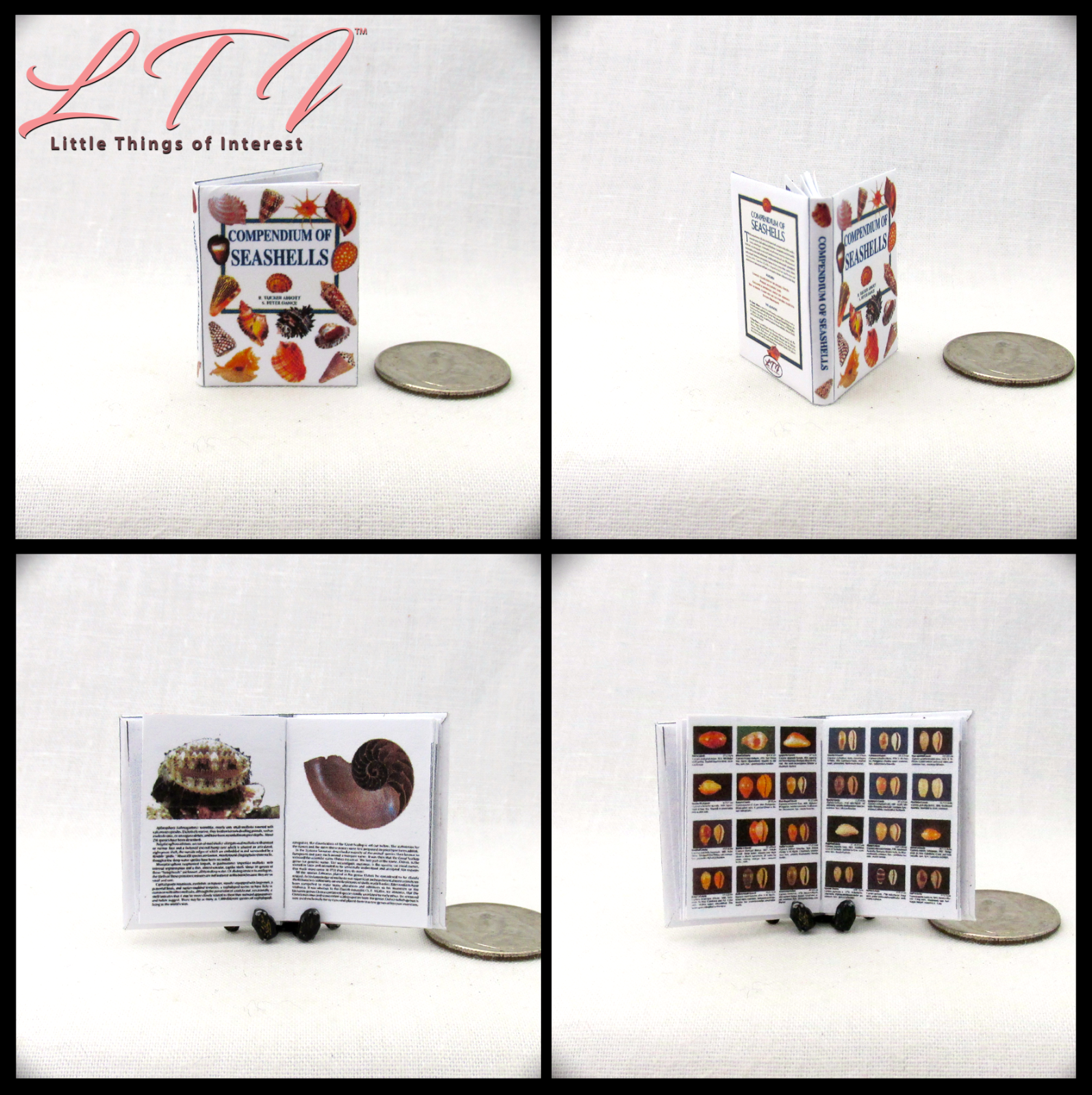 BOOK OF SEASHELLS 1:12 Scale Miniature Readable Illustrated Book