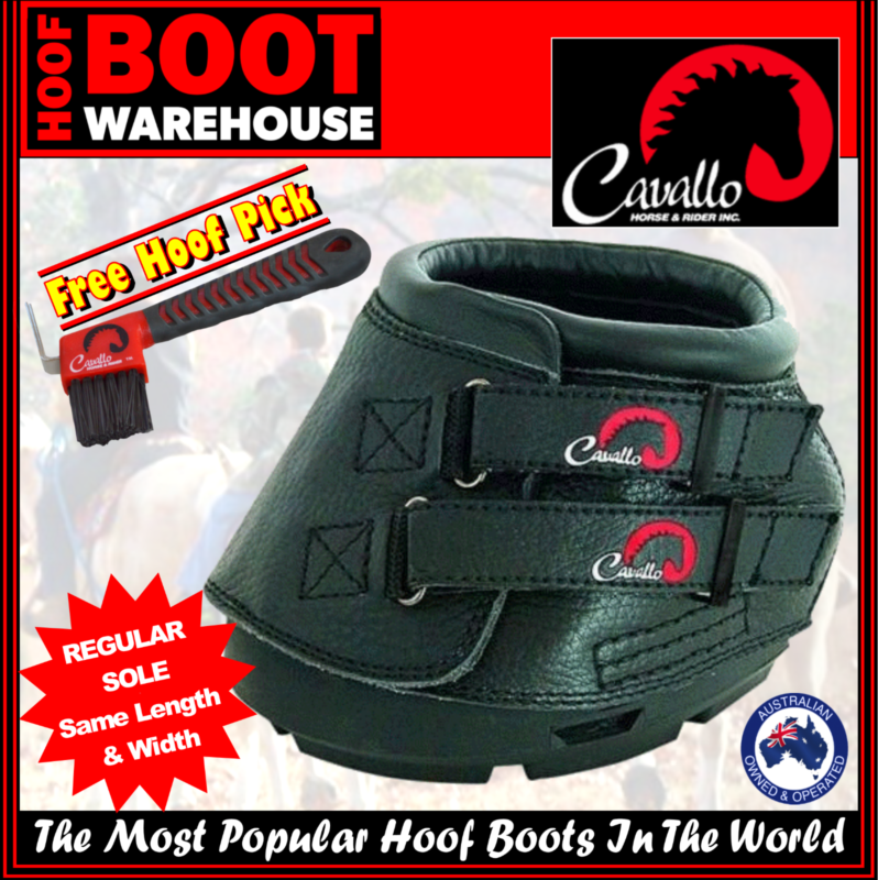 Cavallo Horse Boots Size Chart