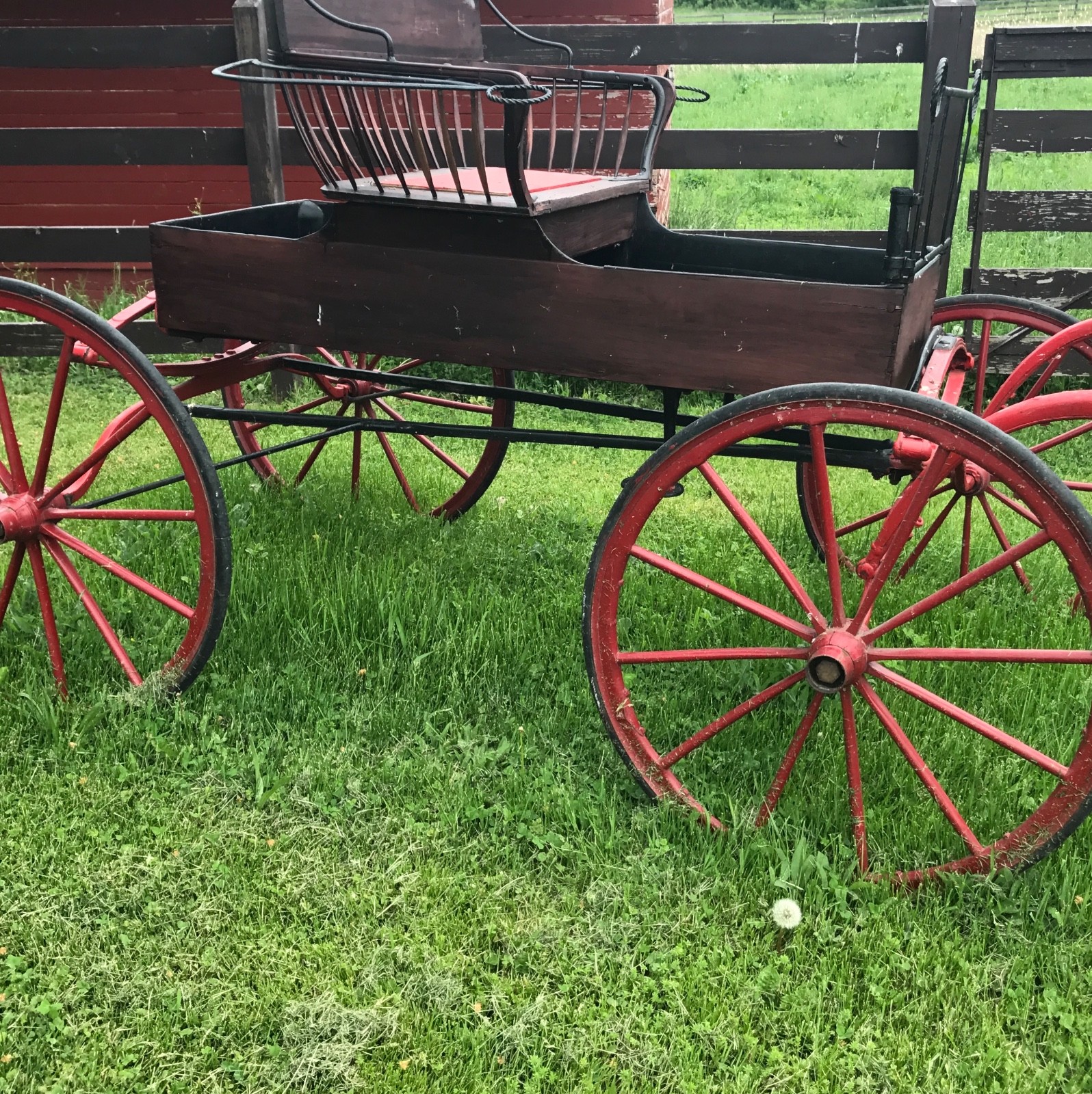 BEAUTIFUL  One Horse Carriage - ANTIQUE RUNABOUT