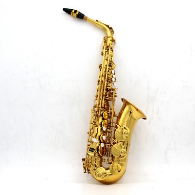 Eastern musicdouble arm low Bb, B and C with adjustable palm