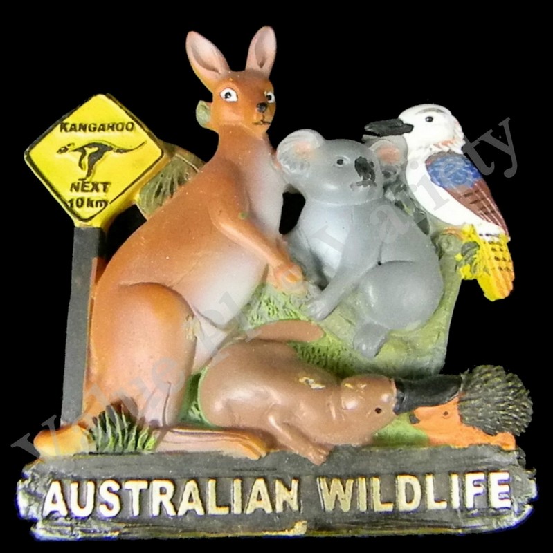 Fridge Magnet Australian 3D Kangaroo Koala Platypus Kookaburra Platypus Echidna