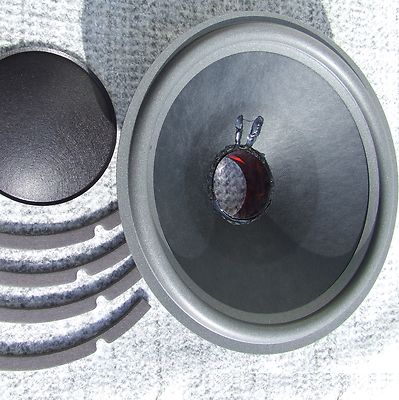 Bose 302 subwoofer