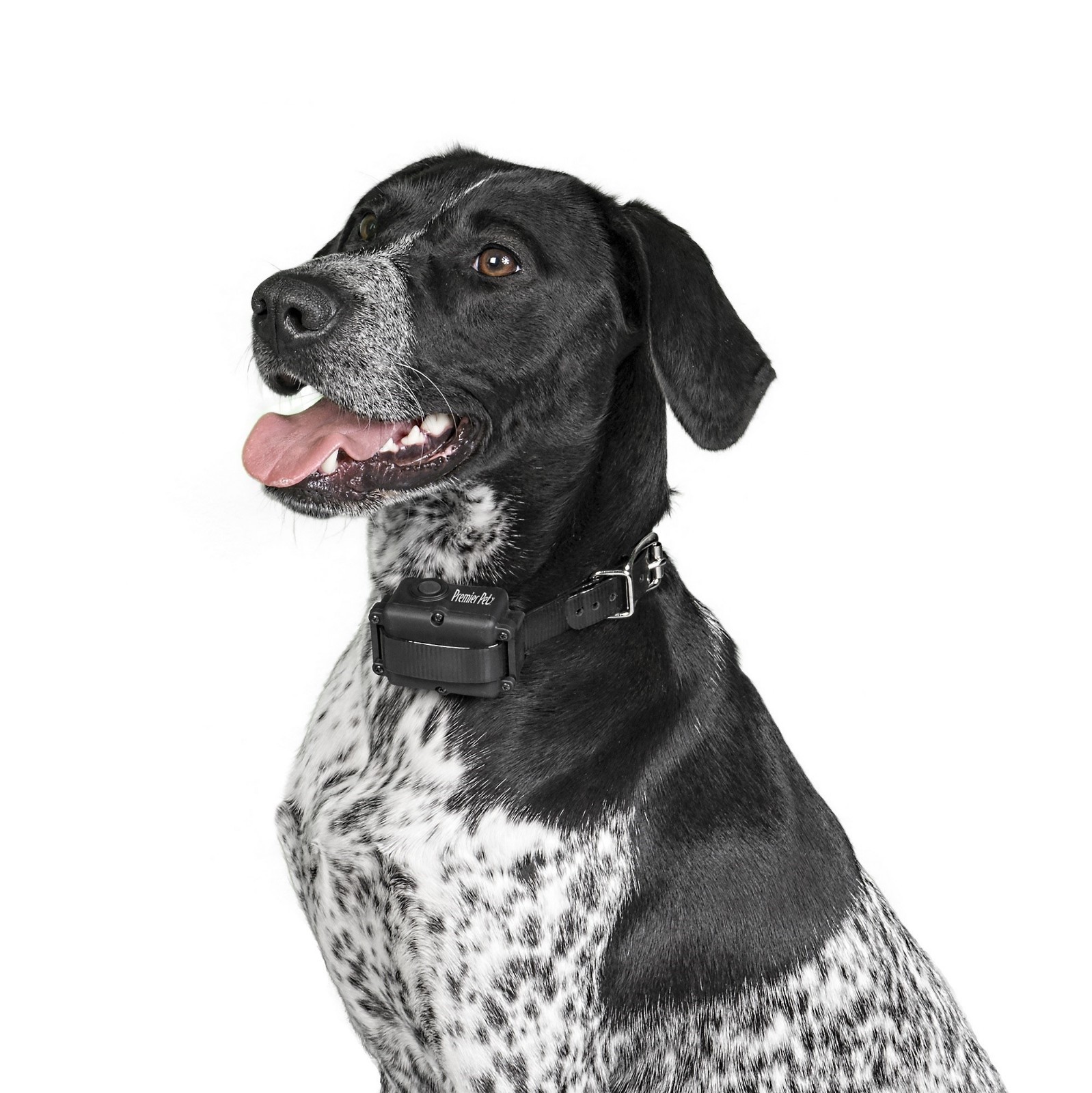 Premier Pet 400 Yard Trainer GDT00-16301