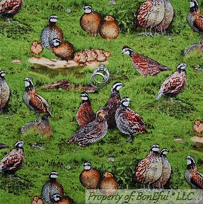 FoxFarm Happy Frog Organic Fertilizer for Fruit & Flower