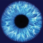 eye-spy-20