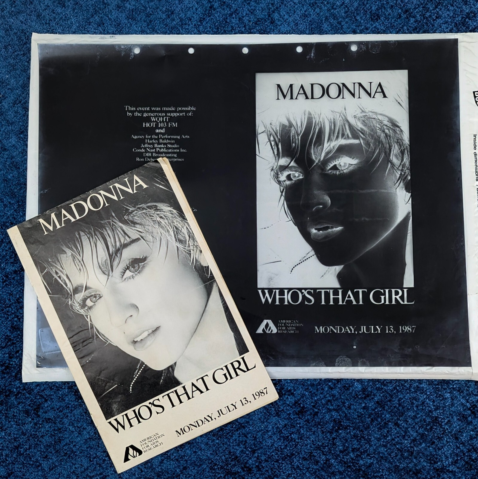 Madonna The Nineties　マドンナ　90's　ディスクガイド Madonna The Nineties マドンナ 90's ディスクガイド Madonna The