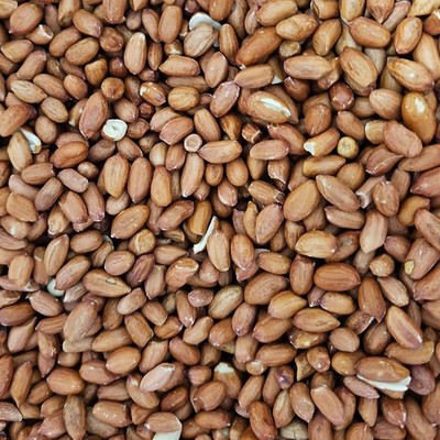Peanuts For Bird Food (25kg)