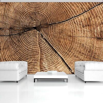 Fototapete Tapete Wandbild F01858 Querschnitt Vom Baumstamm Ringe Imitation Holz