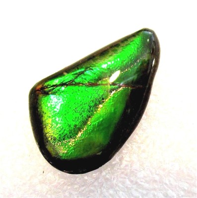 AMMOLITE GEMSTONE 17mm x 11mm