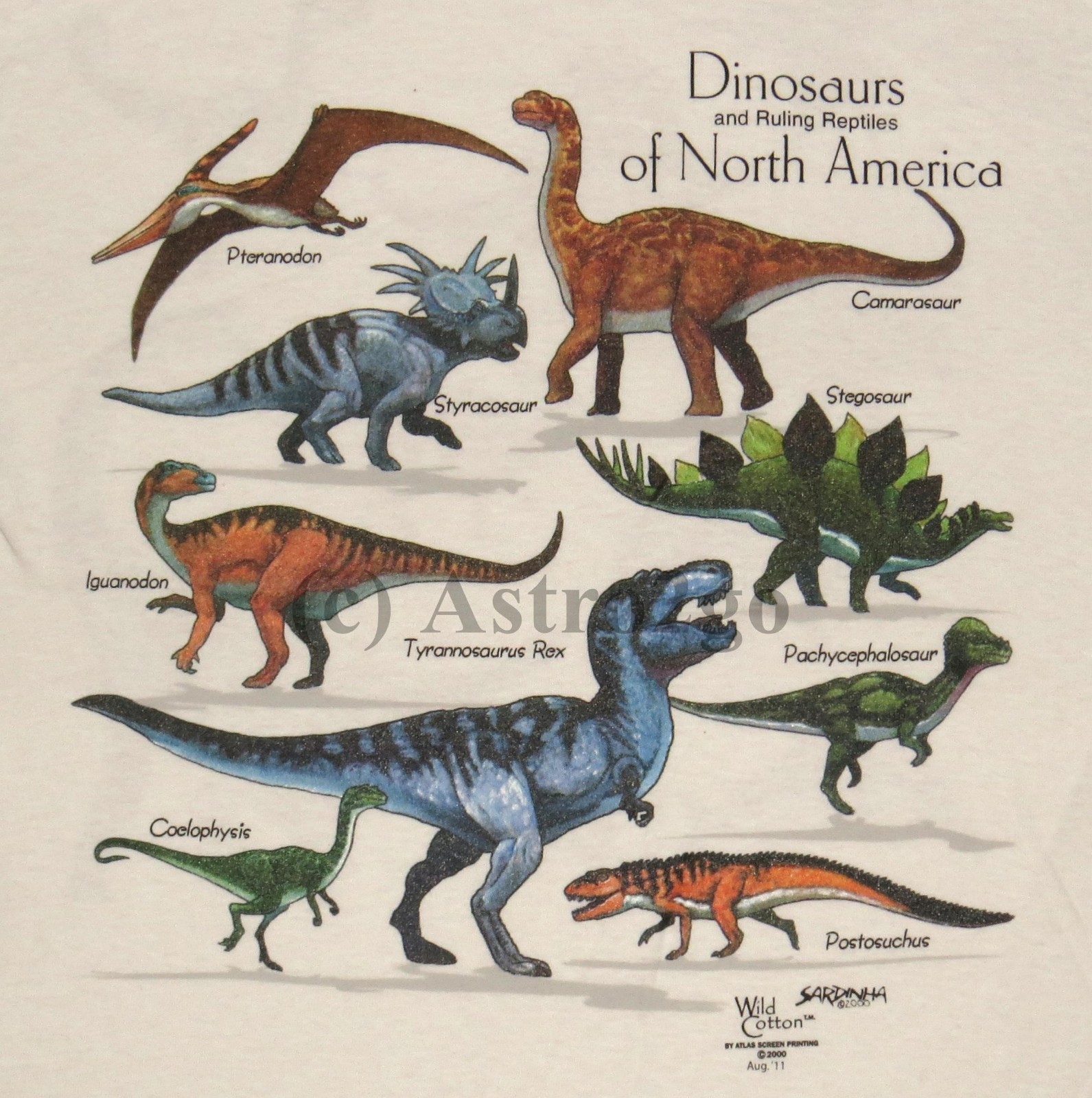 DINOSAURS OF NORTH AMERICA--T Rex Reptiles 2 Sided Kids T