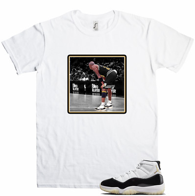 We Will Fit shirt to match Jordan 11 Gratitude Defining moment DMP concord