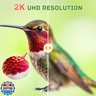 Smart Glass Hummingbird Feeder with Camera, Solar Powered 2K HD Hummingbird Feeders for Outdoors Hanging, AI Identifies and Auto Recording, Leak-Proof Ant and Bee Proof, Ideal Gift for Bird Lovers