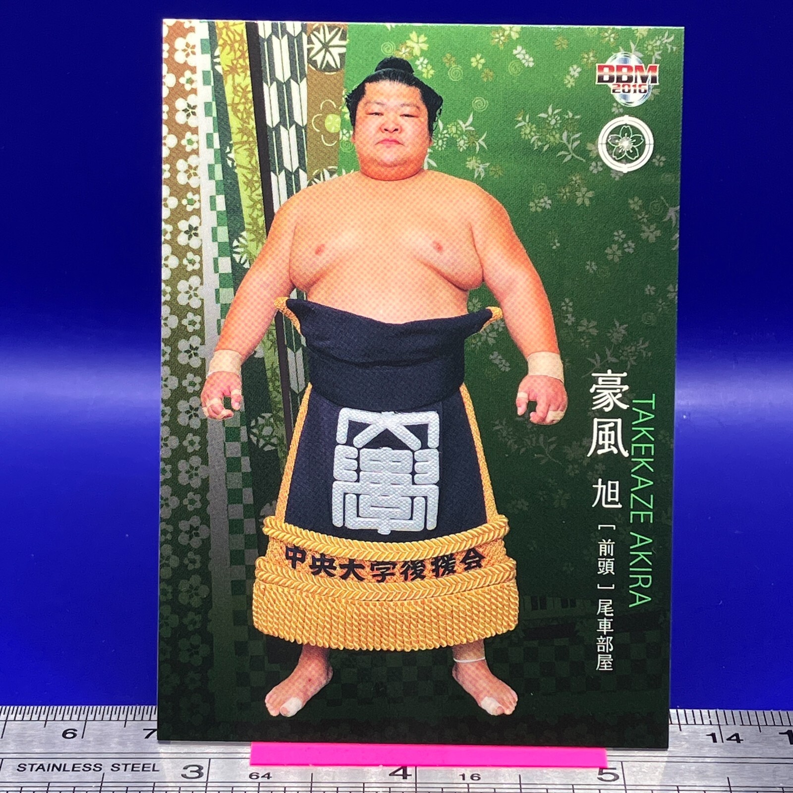 Takekaze Akira Sumo Wrestler Trading Card BBM 2016 Rikishi