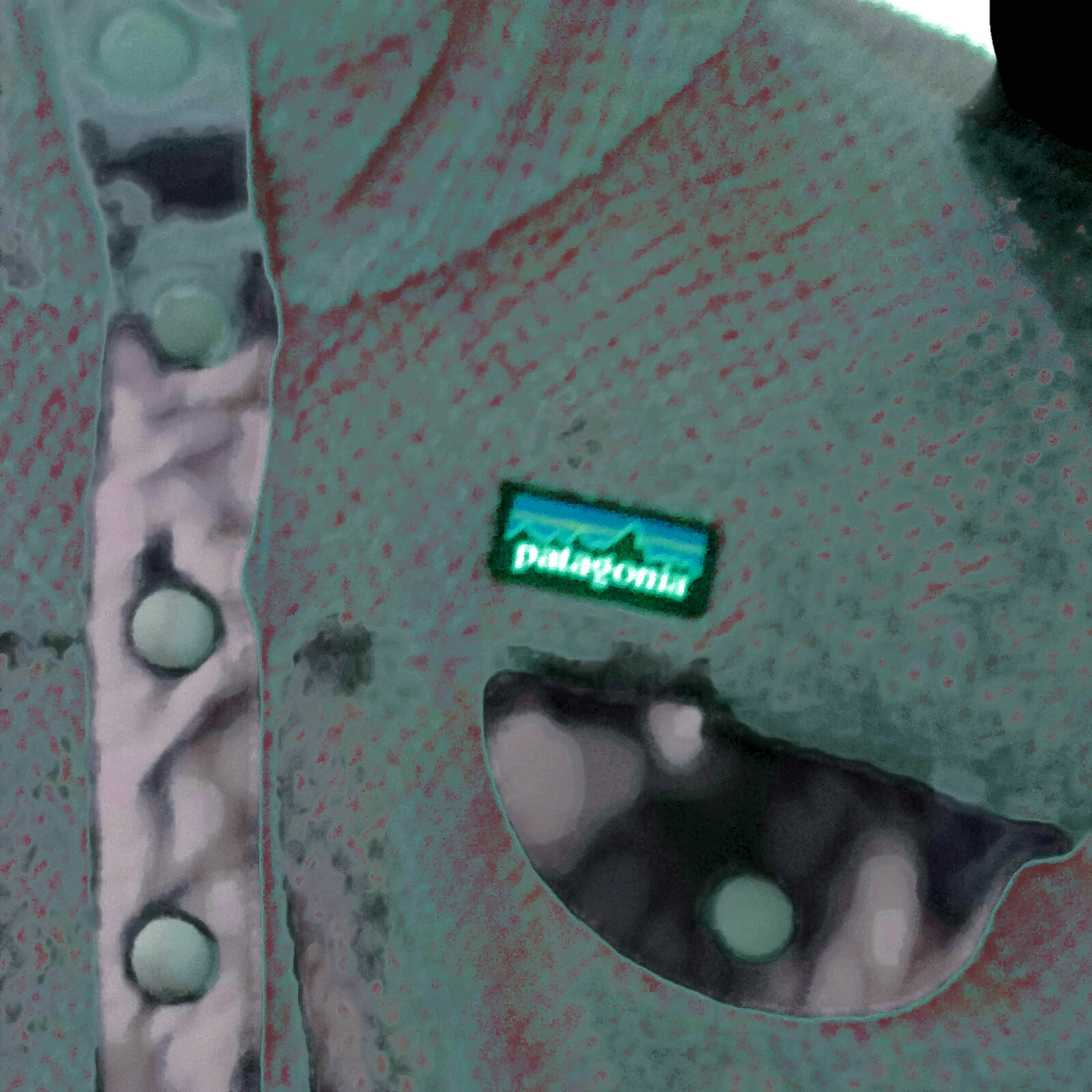 Patagonia Polartec Thermal Pro Snap-T Fleece GIRLS XXL (16) Hot Pink