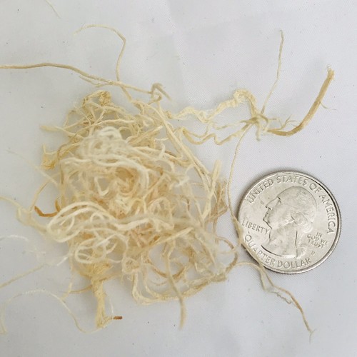 Excelsior Moss (Aspen), Natural, Bulk 7oz Bag Finch Nesting Material