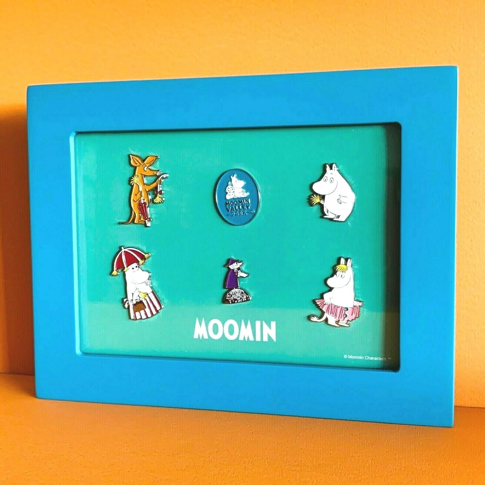 Moomin Pin badge Pins Set Valley Park Japan Frame Box