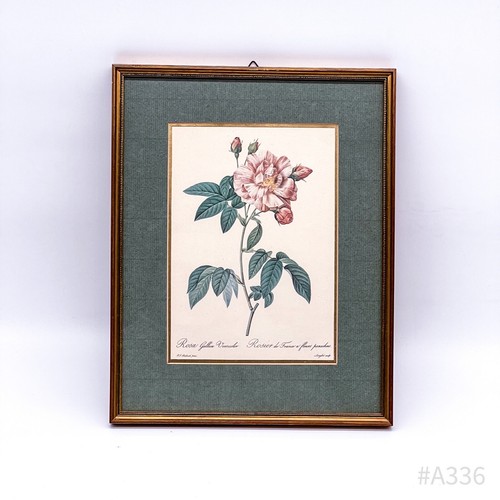 絵画 The Best of Redoute 's ROSES 1960 絵画 The Best of