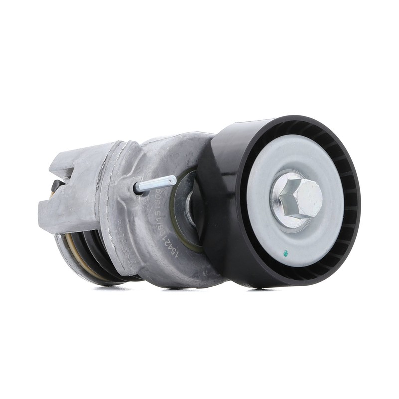 Ridex Galet Tendeur De Courroie D'Accessoire 541v0046 Pour Vw Golf Vi (5k1)