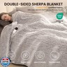 blunique Heated Blanket Electric Blanket King - Fast Heating Blanket Throw Dual Control Double Sided Sherpa with 6 Heating Levels and 1-10 Hours Auto Off, Mashine Washable, 90 x 100 Inches, Sage