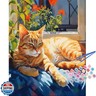 TOCARE Cat Paint by Numbers Kit for Adults, Orange Cat Paint by Number Canvas,Adults' Paint-by-Number Kits for Kitty Lovers 16x20inch (Without Framed)