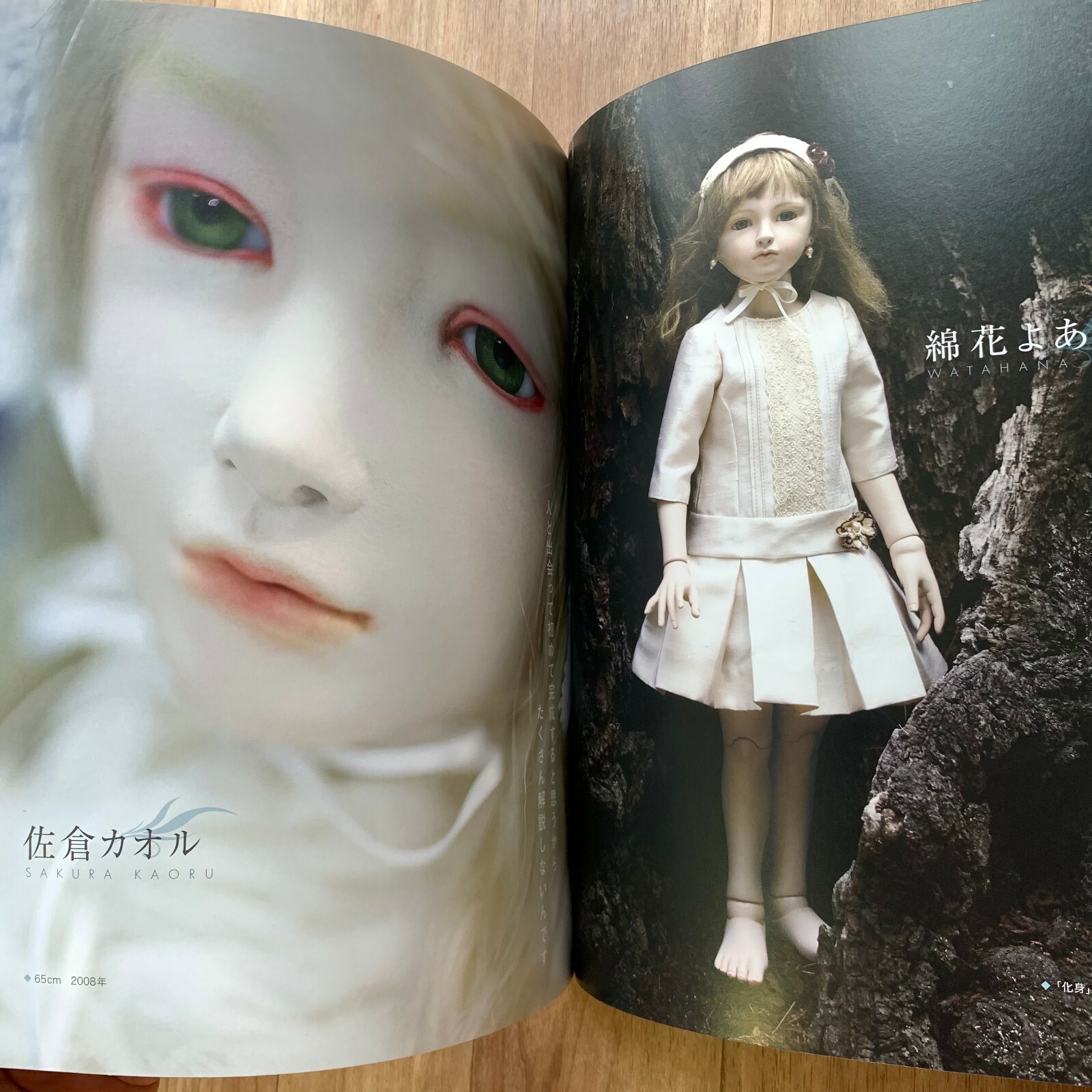 $_57.JPG?set_id=8800005007