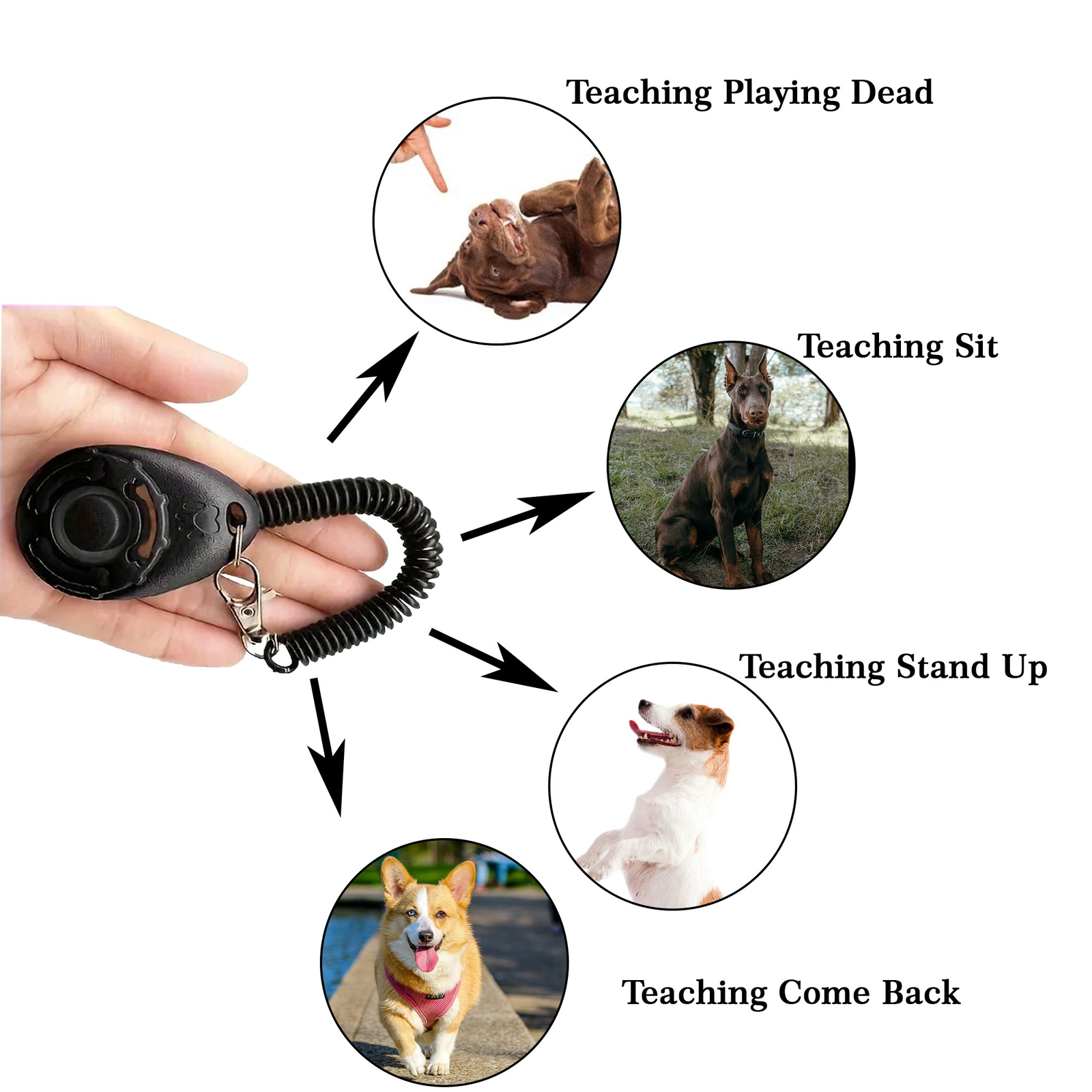Ascots Tierra Universal Anial Pet Dog Training Clicker With Wrist