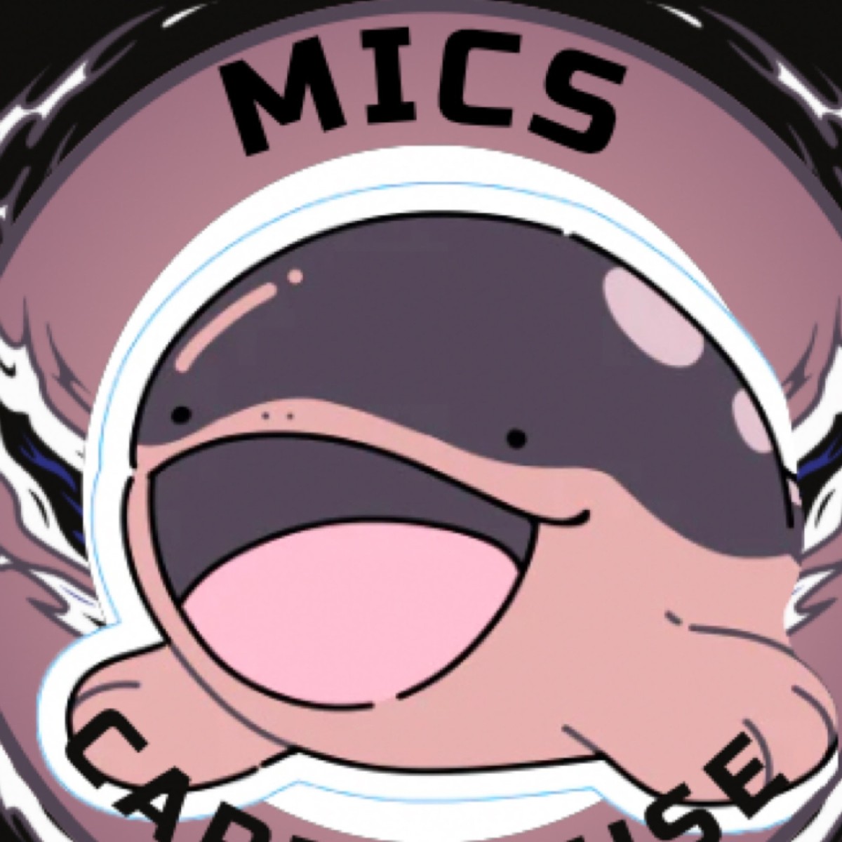 micardhouse