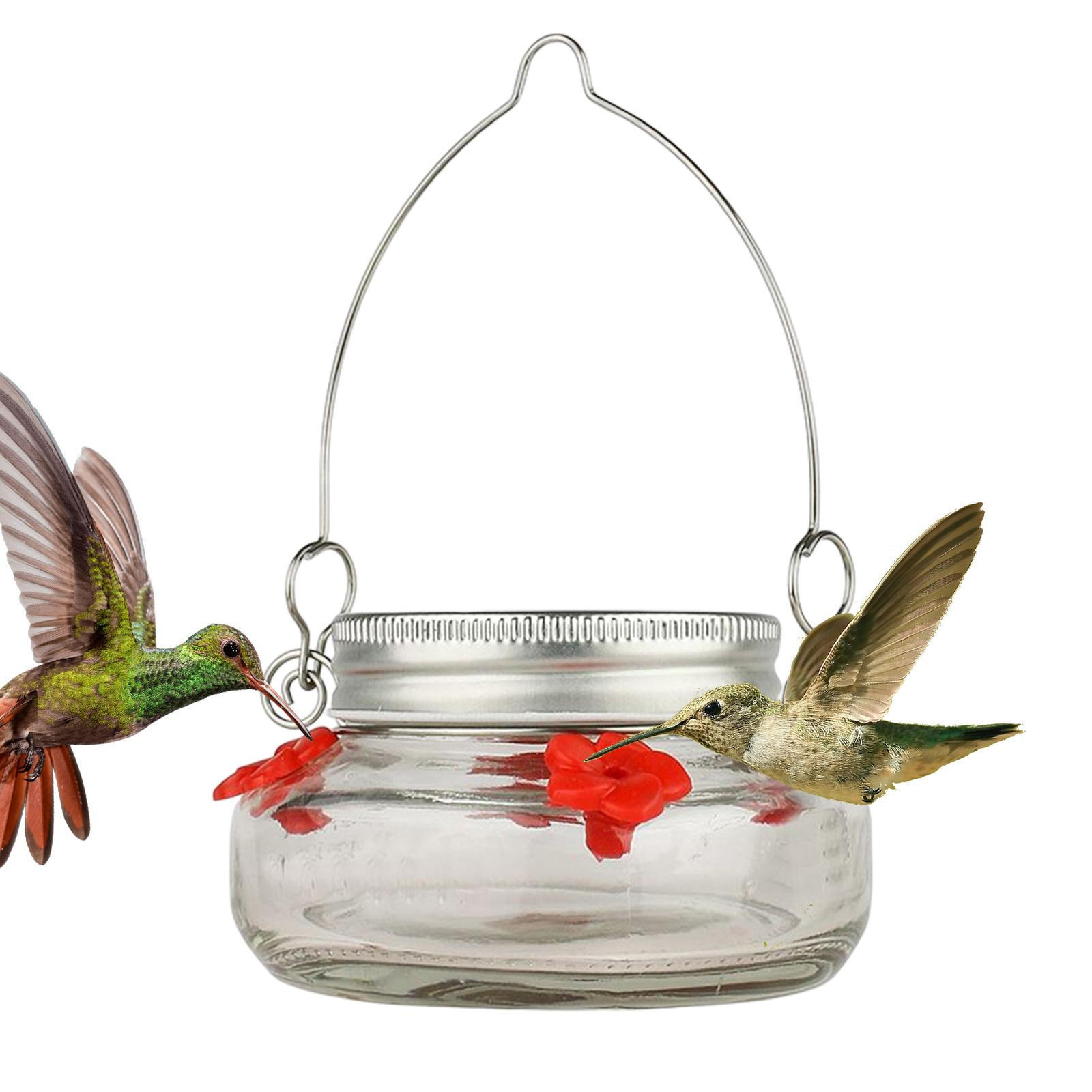 Station Height Adjustable Baffle Dome Peanut Seed Feed