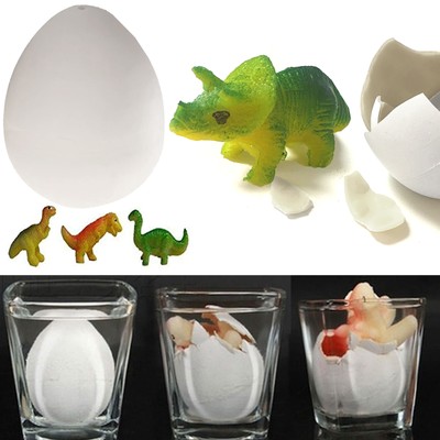 Dino Egg Kit: Break Open Dinosaur Eggs Discover Archaeological Science Suitabl