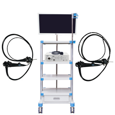 Veterinary HD Olympus Type Endoscopy System w/ Flexible Gastroscopes and Camera