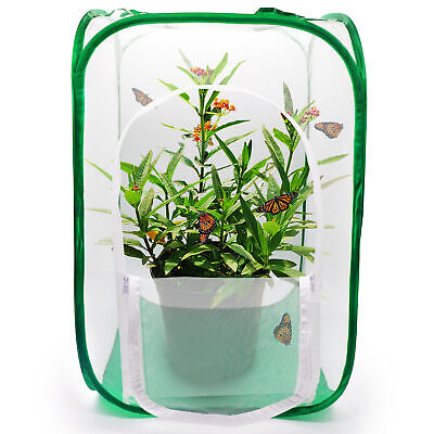 Butterfly Habitat Insect Caterpillar Cage Firefly Fly Enclosure Pop Up 24'' Tall