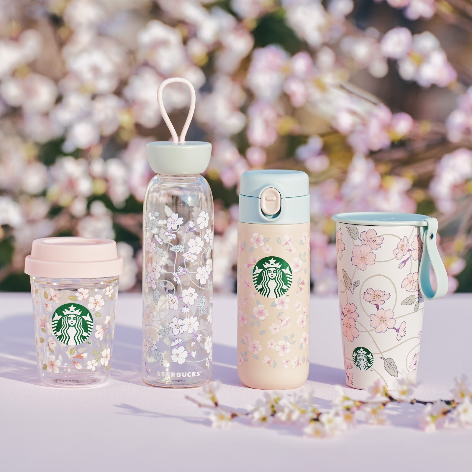 海外 STARBUCKS KOREAジュエリーケースspring【日本未発売】桜 海外 STARBUCKS KOREAジュエリーケースspring【日本未発売】桜