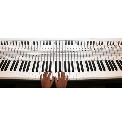 Piano and Keyboard Note Chart for 88 Keys, Use Behind the Keys, Ideal Visual ...