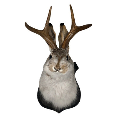 Jackalope Deer Head Animal Wall Mount Plush Deer Head for Home Wall Decoration 