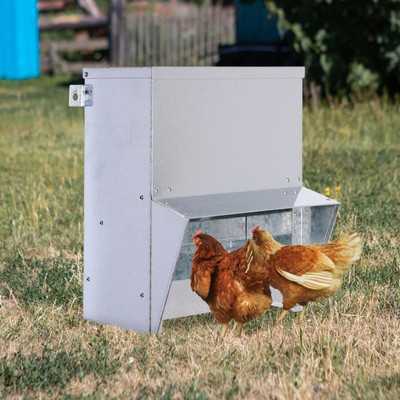 Agriculture Forestry Chicken Feeder