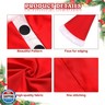 Silicherry Christmas Porch Goose Outfit Santa Claus Goose Cloths for 23