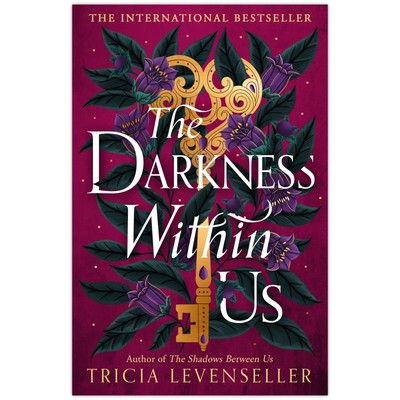 The Darkness Within Us by Tricia Levenseller 2024 Paperback New