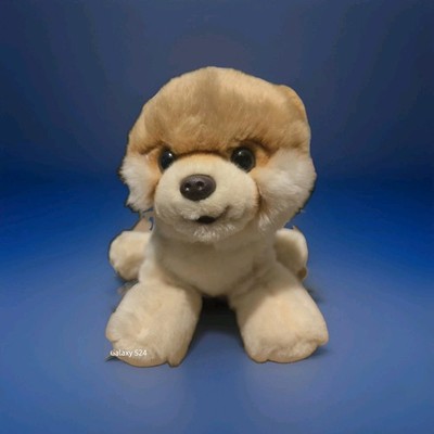 Gund Boo Worlds Cutest Dog Plush Toy Pomeranian Puppy 9