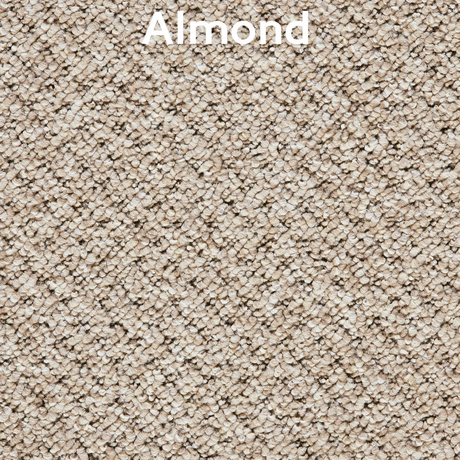 Flecked Textured Thick Loop Pile Carpet Hardwearing Hall Lounge Action