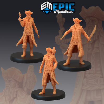 PIRATE CAPTAIN -  Pirates Voyage, Dungeons and Dragons Miniatures, Fantasy