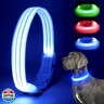 Light Up Dog Collar, LED Lighted Reflective Dog Collars for Night USB Rechargeable, Glow Collar for Dogs, Waterproof Adjustable Flashing Dog Collar for Night Safety (Blue, Large)