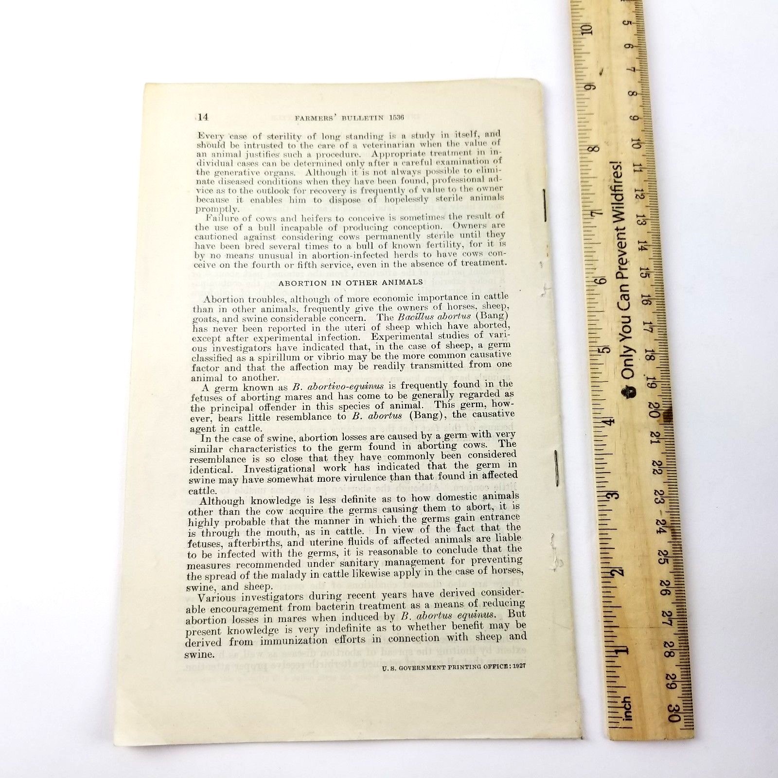 US Department of Agriculture Farmers Bulletin 1536 Infectious Abortion of Cattle