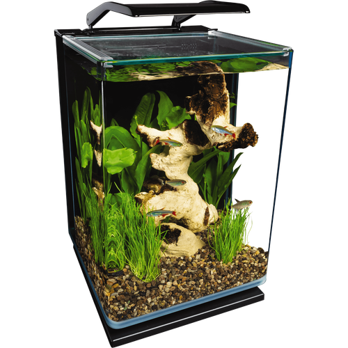 Marineland Portrait Glass LED Aquarium Kit, 5 Gallons, Hidden Filtration