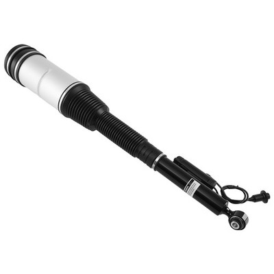 Suspension Pneumatique Arrière for Mercedes Classe S W220 S320 S500 S430 S55 Am