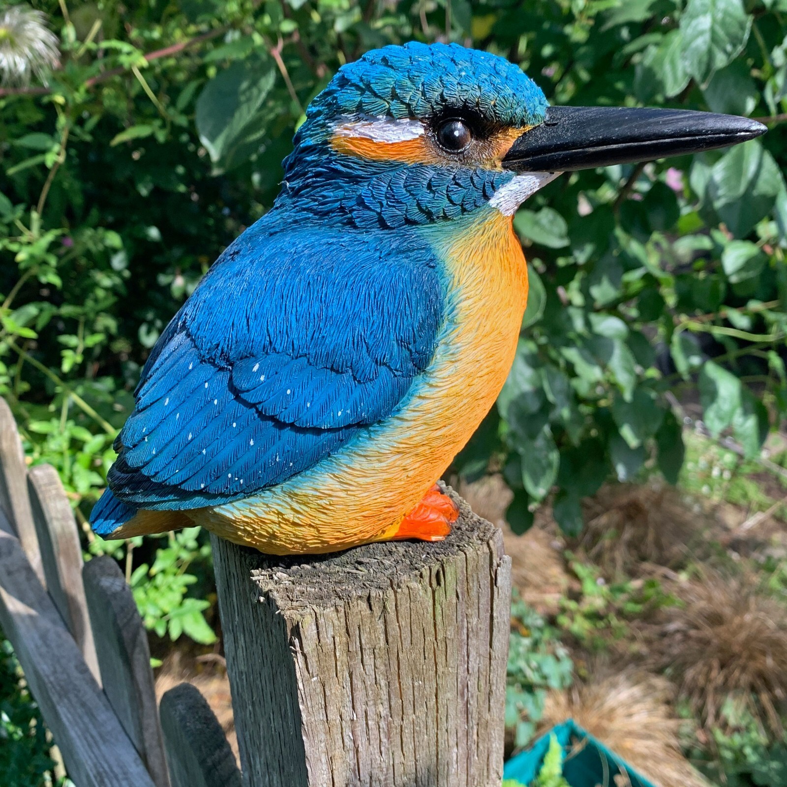 絵画J・HOOK KINGFISHER IN AN EXOTTC GARDEN