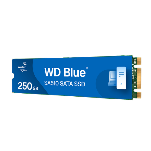 Western Digital 250GB WD Blue SA510 SATA SSD M.2 2280 - WDS250G3B0B-00AXS0